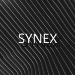 Synex CoinLOGO