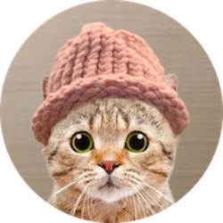 CatWifHatLOGO
