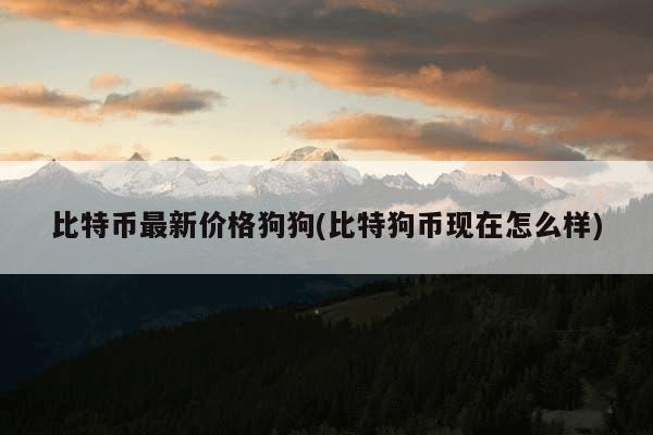 比特币刚刚平稳,狗狗币又重新反杀,你觉得狗狗值得持有吗?