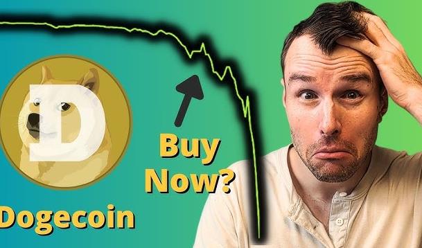 一个doge币=多少人民币?今日狗狗币基金价格(现价3.1712元)