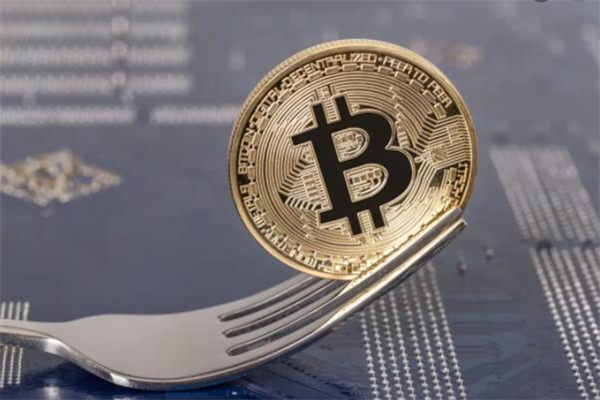 狗狗币是美国的吗?狗狗币产地在哪?