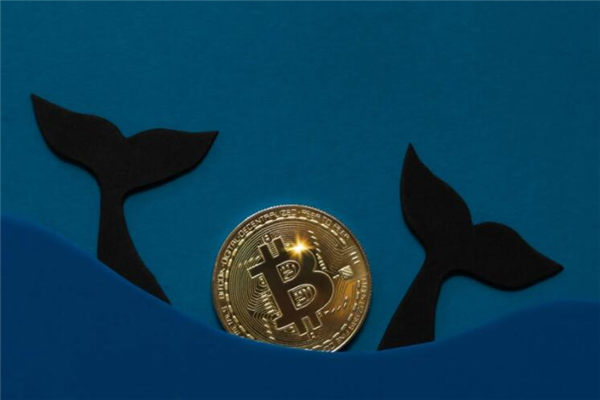 欧易okex网络异常,欧易okex异常处理指南